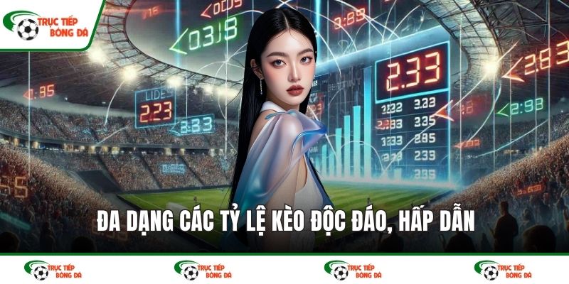 Đa dạng các tỷ lệ kèo độc đáo, hấp dẫn