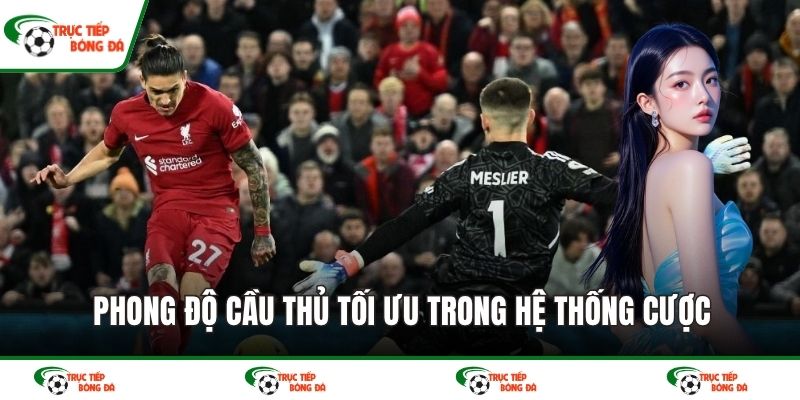 Phong độ cầu thủ tối ưu trong hệ thống cược