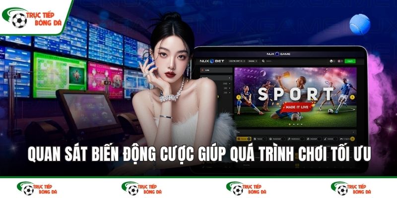 Quan sát biến động cược giúp quá trình chơi tối ưu